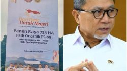 Menko Pangan Siap Hadir pada Panen Raya 753 Hektare Padi Organik PS-08 di Pandeglang