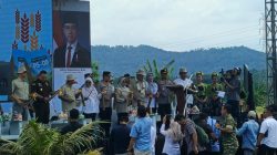 Model Pertanian Organik Nasional Lahir dari Carita 752 Hektar PS-08 Panen Raya