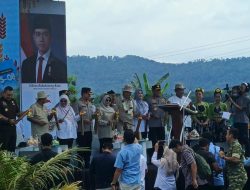 Model Pertanian Organik Nasional Lahir dari Carita 752 Hektar PS-08 Panen Raya