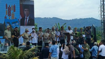 Model Pertanian Organik Nasional Lahir dari Carita 752 Hektar PS-08 Panen Raya